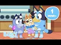 Download Lagu 🔴LIVE: Bluey Festive Full Episodes 💙 1HOUR! | Bluey