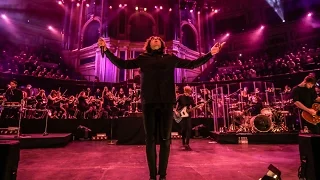 bring me the horizon can you feel my heart live at royal albert hall