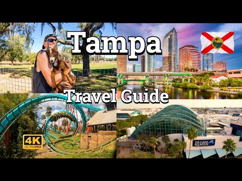 Download MP3 Tampa Travel Guide | Busch Gardens, Zoo, Aquarium, Riverwalk, and Goats