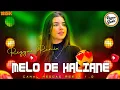 Download Lagu MELO DE HALIANE 2022 REGGAE REMIX @DJIvoOficial 💓