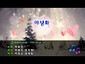[TJ노래방] 야생화 - 박효신 / TJ Karaoke