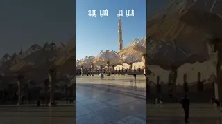 صل يارب عليه واسقنا من راحتيه اللهم صل على محمد وآل محمد وصحبه أجمعين 