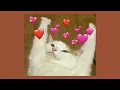 everytime we touch | cascada (sped up)
