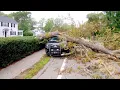 09-16-2023 Cohasset MA - Huge Tree Falls Crushes Police Cruiser