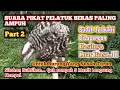 Download Lagu SUARA PIKAT BURUNG PELATUK BERAS TERBARU, AMPUH MENGATASI BURUNG YANG SUSAH TURUN