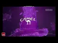 Camel Mild Option Purple - Taste The Purple Flavor Sensation (Rp 15.000/12 Sticks)