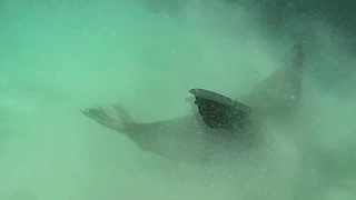 the national hard to find official video 