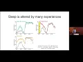 BRI Joint Seminar in Neuroscience - Jeff Donlea Ph D