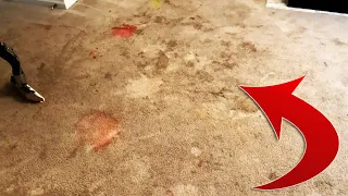 EXTREME QUARANTINE CARPET CLEANING