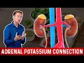 The Adrenal Gland and Potassium Connection - Dr Berg