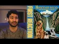 Download Lagu Watching Homeward Bound: The Incredible Journey (1993) FOR THE FIRST TIME!! || Movie Reaction!