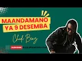 Lagu Chidi Benz: Maandamano ya Desemba 9