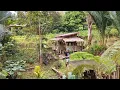 Download Lagu Tinggal di Kebun bertani dan beternak 