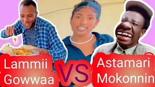 Astamari Mokonnin Vs Lammii Gowwaa Try Not To Love 