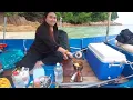 Download Lagu Memasak dalam bot 17 kaki dan sambungan mencandat sotong. Squid jigging with 26ft boat \u0026 Merc 115hp