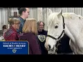 Equine Assisted Therapy Concentration Clinical Mental Health Counseling