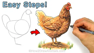 Easy Way to Draw a Chicken Hen Using Simple Shapes