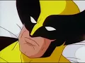 Origin of Wolverine Crush meme