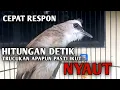 CEPAT DIRESPON !! Hitungan Detik Trucukan Jenis Apapun Pasti Ikut NYAUT Dengar Pancingan Ini