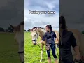 Download Lagu Je paard inparkeren, kan jouw pony het ?