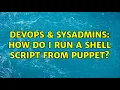 DevOps SysAdmins How do I run a shell script from puppet 2 Solutions
