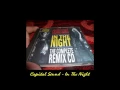 Capital Sound - In The Night (Hard Into The Night Mix)(Remix)