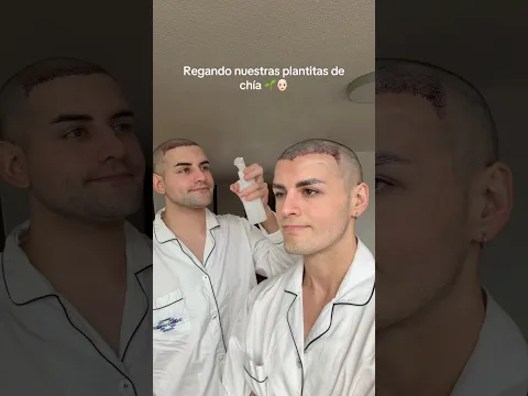 Si no se riega no crece el injerto 👨🏻‍🦲💦🌱😂 @leeansalinas