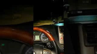 مهند زعيتر الشامي شو بدي عد بزلات 