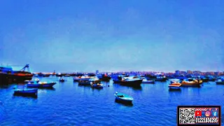 حاله واتس يا ليالي واحشني الغالي 2020 