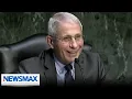 Fauci is a punk Madison Cawthorn American Agenda