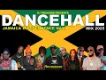 Lagu DANCEHALL MIX 2025 | JAMAICA INDEPENDENCE DAY - MASICKA, VYBZ KARTEL, MAVADO \u0026 MORE | DJ TREASURE