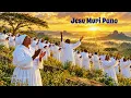 KUDENGA KUNE VATSVENE VARIKO 🙏 | Powerful Mapostori Gospel Songs | Shona Apostolic Worship
