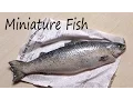 Realistic Miniature Fish Salmon - Polymer Clay Tutorial