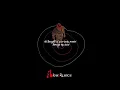 Morgan Wallen - Lies Lies Lies (Lyrics) | Look into my eyes, eyes, eyes