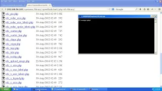 OWASP TOP 10 A9 - Using Known Vulnerable Components