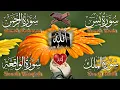 Download Lagu Surah Yaseen (Yaseen)🤲🌳😰🌲Full surah Yaseen tilawat🌟✨🤲Surah Yaseen Sharif🌟✨🤲By Muhammad Ali (Full HD)