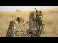 Zimbabwe Gospel, Vhura Moyo, Open Your Heart to the Lord Prayer Song 