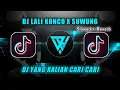 Download Lagu DJ LALI KONCO X SUWUNG TERBARU VIRAL TIKTOK ( Slowed + Reverb )