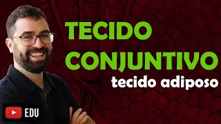 Tecido Adiposo (Conjuntivo Especial) - Aula 06 - Módulo VII: Fisiologia Humana | Prof. Gui