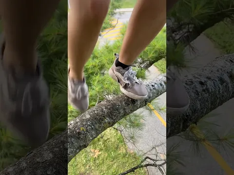 Fastest tree climbing woman🌲💃