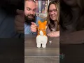 Download Lagu A Board Game That Poos?! Come Play Doggy Doo With Us! #boardgames #gamenight #couple #fun