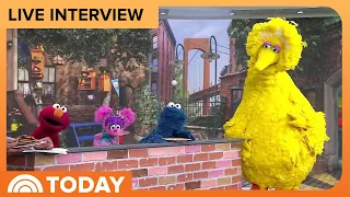 Sesame Street Stars Reveal Special Friends To Expect In S56 