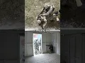 Door Entry CQB Training