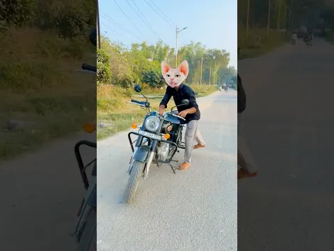 Billi bike ke ander Kaha se bad gaye π #comedy #shortsfeed