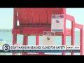 Eight Madison beaches close due to high bacteria algae levels