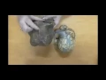 Australopithecines