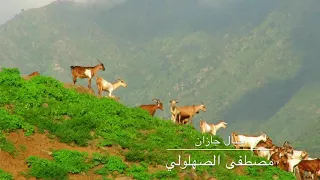 من قمم جبال جازان مقاطع لطبيعة الجميلة في مرتفعات جازان 