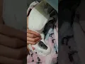 Download Lagu sisi my baby girl umbrella parrot #ببغاء #parrot #طيور