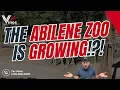 The Abilene Zoo Has BIG Plans Events Attractions Summer Camps Upcoming Zoo Expansions