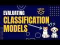 The Beginner s Guide to Classification Metrics for Machine Learning Models Step-by-Step
